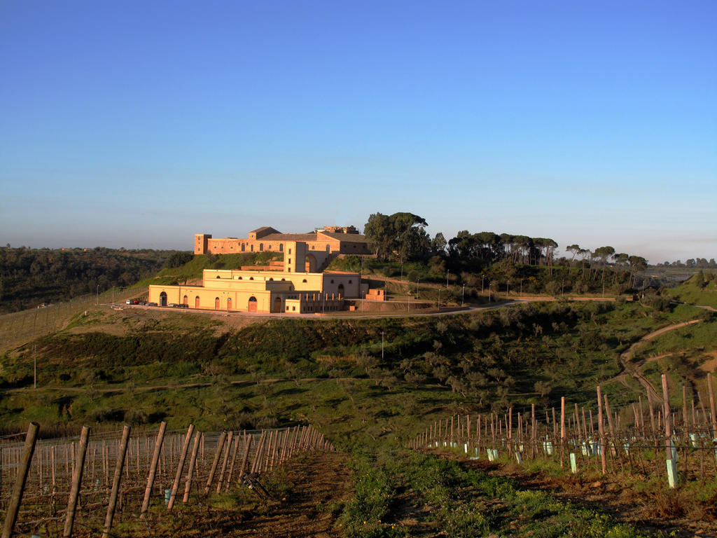 Wine Relais Feudi Del Pisciotto Vila Niscemi Exterior foto